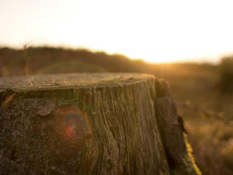 sudoku guest mode screenshot 5